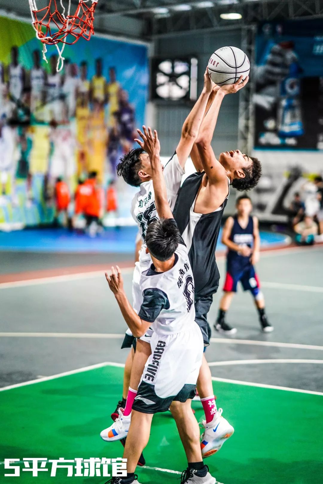 希腊篮球联赛暂停比赛至疫情稳定的简单介绍