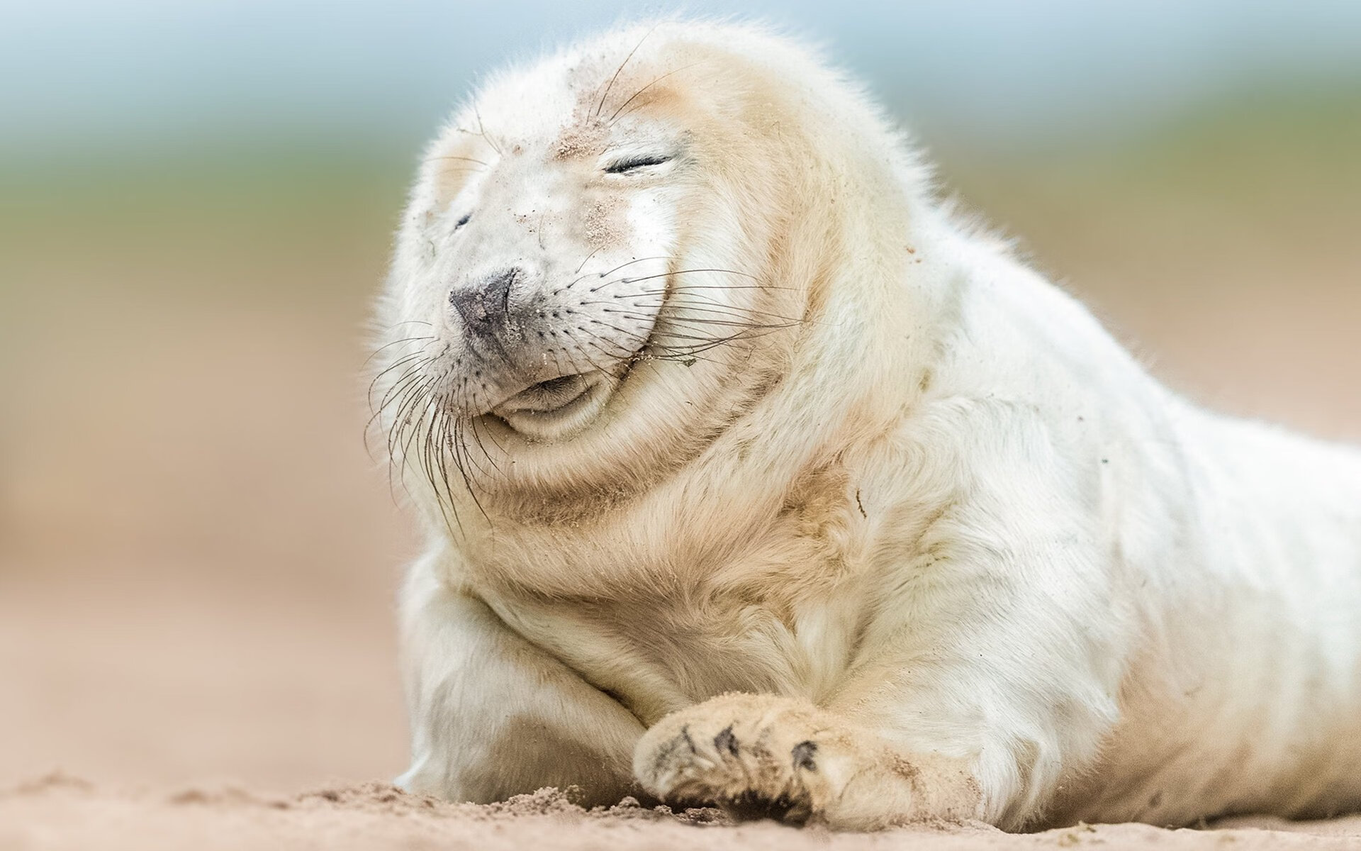 葡萄牙风暴席卷安菲尔德!赖斯一传一射导演逆转,阿森纳终结利物浦主场神话