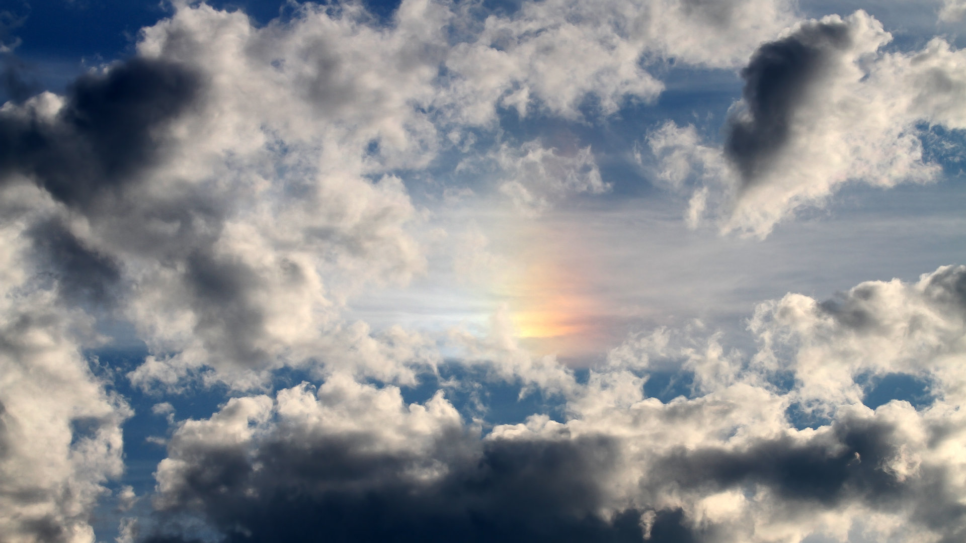 跨越太平洋的对话，当NBA雄鹿遇见CBA深圳队的想象图景