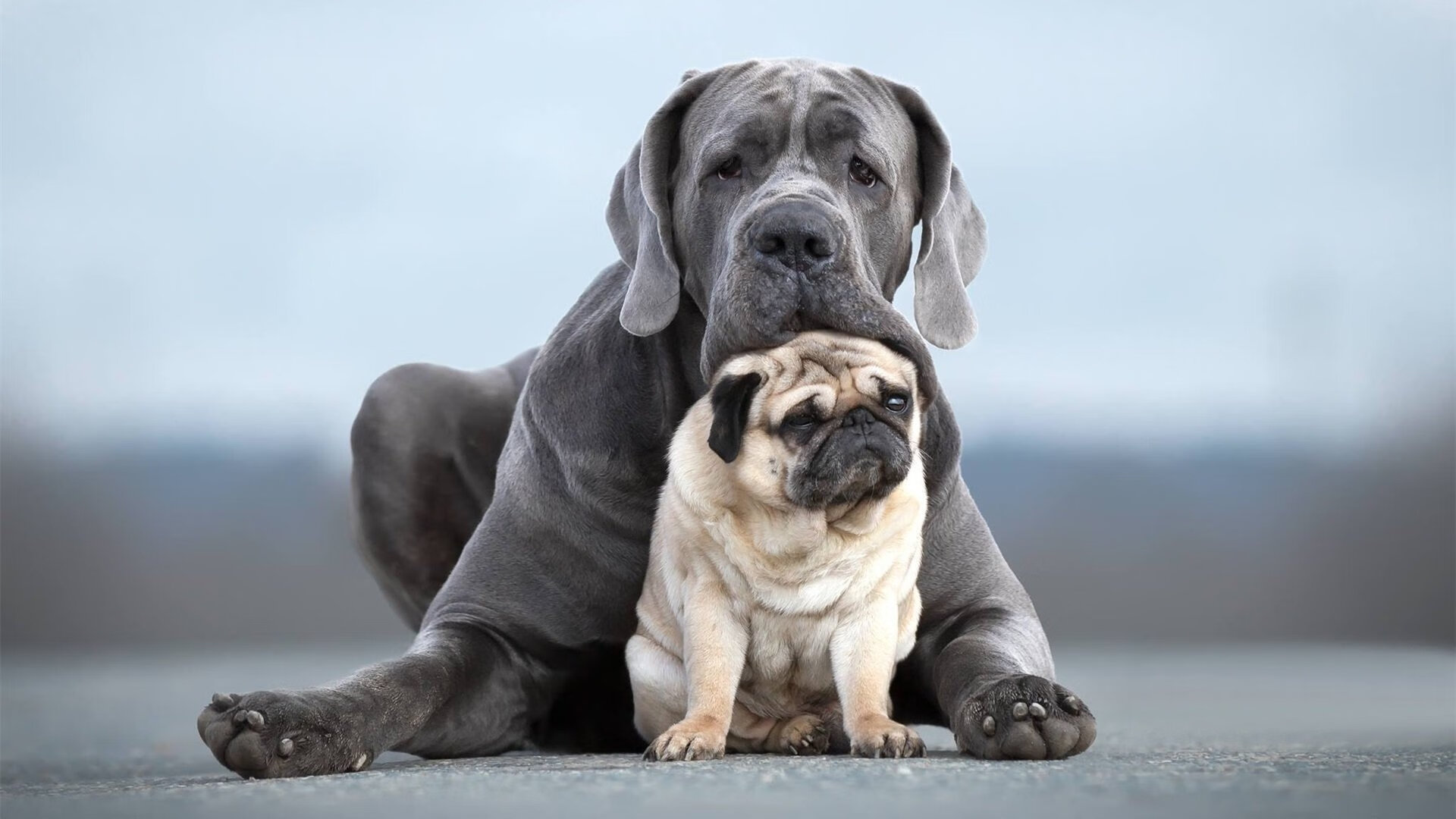 当森林狼如黑云压城,库里化身恒星点燃苍穹,双线狂飙的NBA之夜