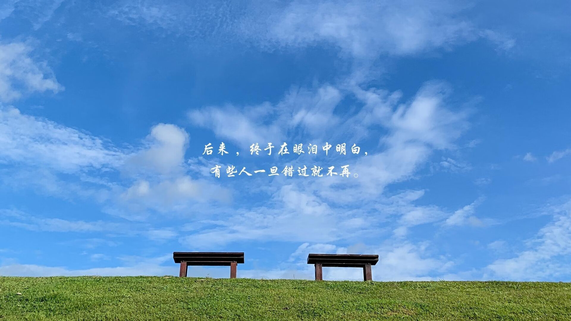 2026世界杯，豪门对决中的唯一传奇，C罗引领比利时击碎印度神话