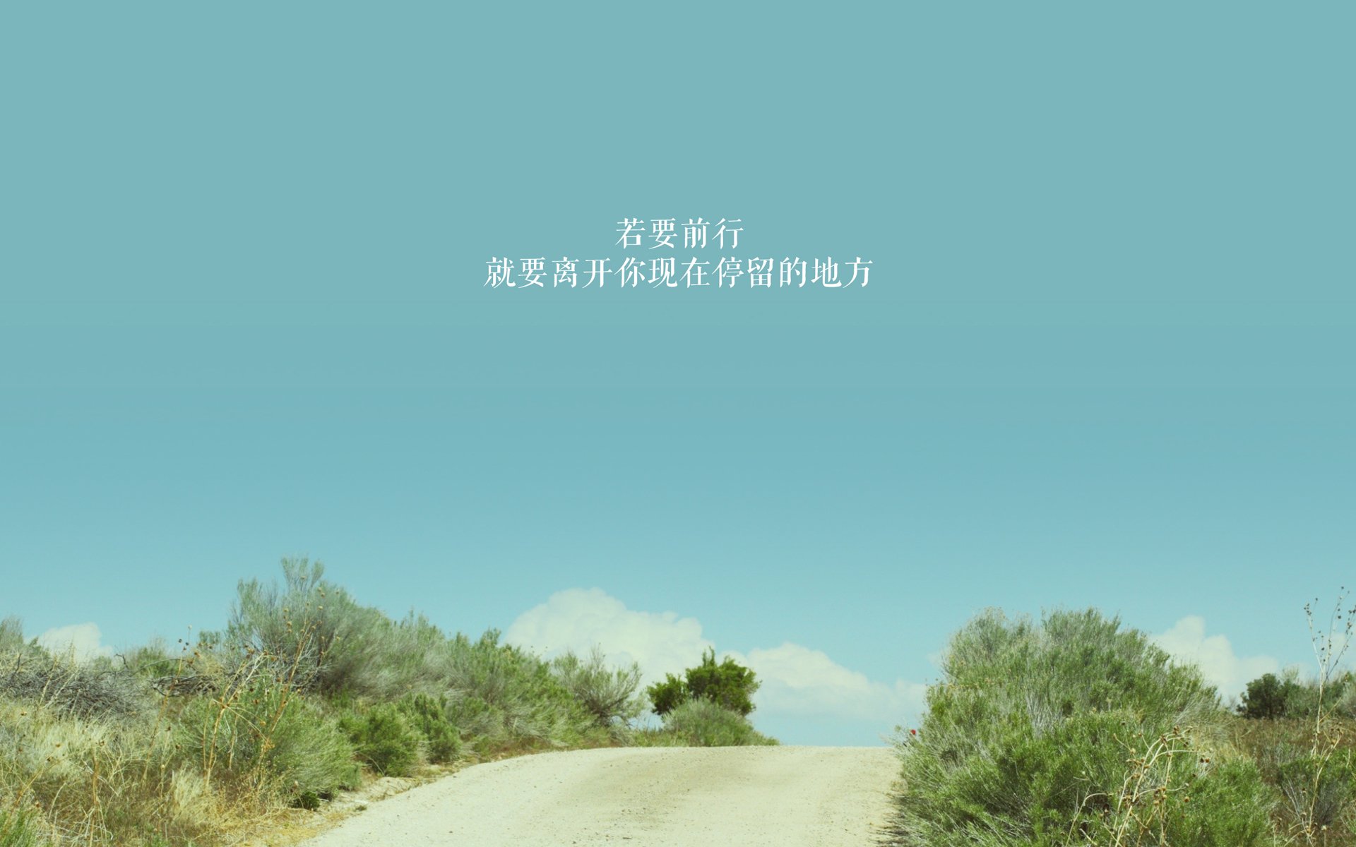 沙漠风暴,2026世界杯B组焦点战,阿联酋神话破巴西,努涅斯一人封神