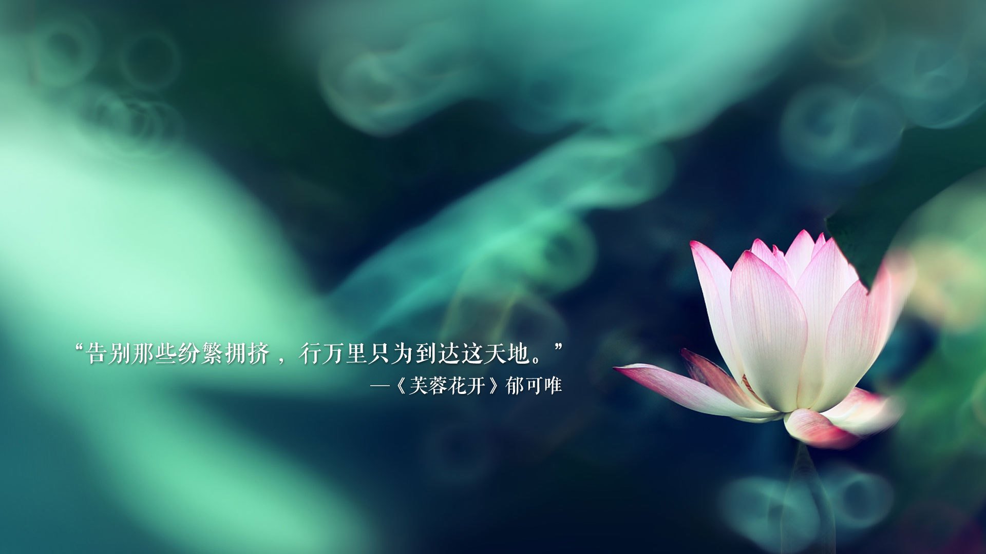 正名之战,阿诺德率领澳大利亚横扫尼日利亚,2026世界杯A组格局一夜改写