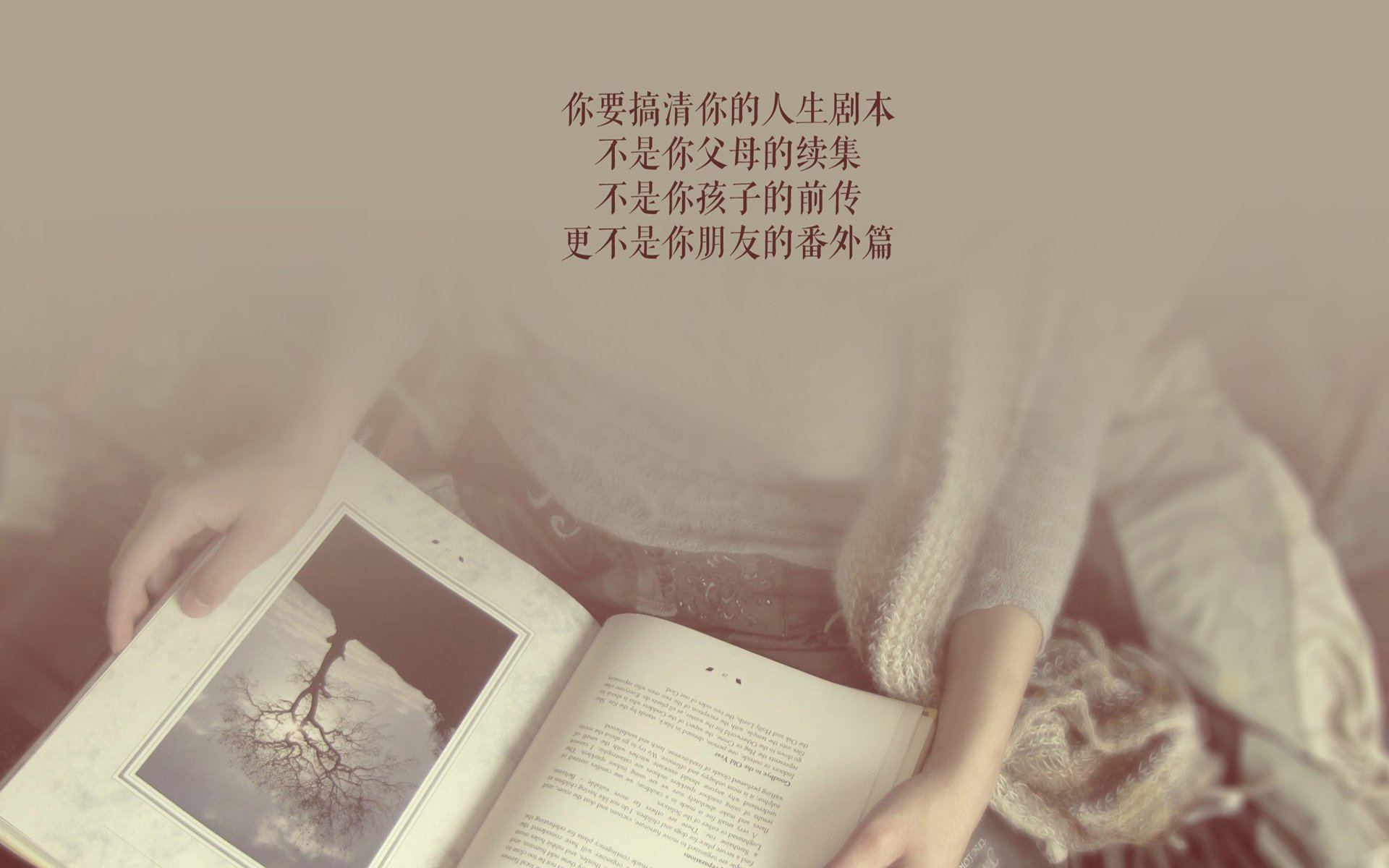 致命一击,久保建英的沉默宣言与2026世界杯B组的权力更迭